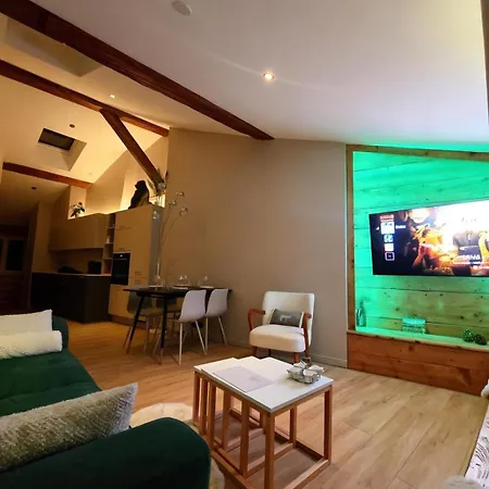 Le Skyloft Grenette - Loft Atypique En Hypercentre Appartement Grenoble