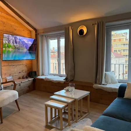 Le Skyloft Grenette - Loft Atypique En Hypercentre Appartement Grenoble